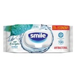 Салфетки влажные, Smile (Смайл) №120 В антибактериальные эвкалипт с клапаном